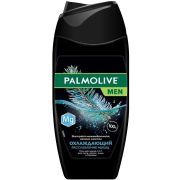 Palmolivе гель д/душа муж 3в1 250мл Охлаж Расслаб мышц (12)**